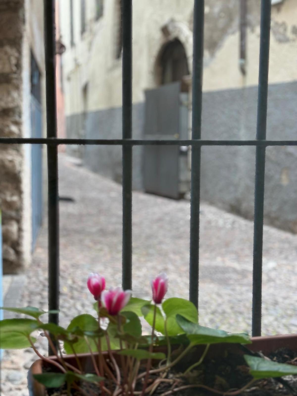 Duomo Nest Entire Apartment トレント エクステリア 写真